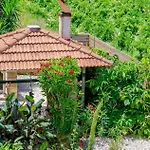 Agricola With Private Swimming Pool