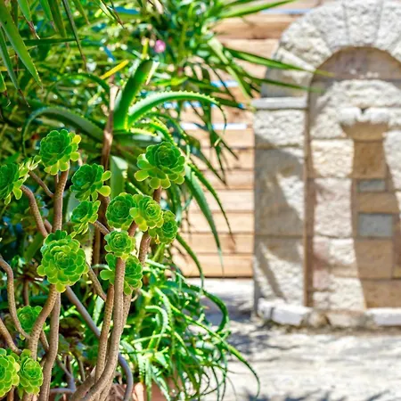 Agricola Alykes (Zakynthos)